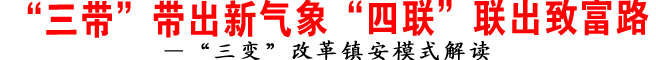 ——“三變”改革鎮安模式解讀