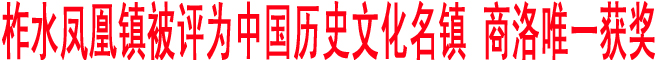 柞水鳳凰鎮被評為中國歷史文化名鎮 商洛唯一獲獎