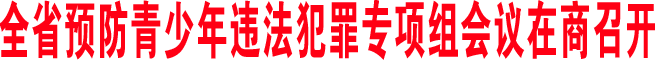 全省預防青少年違法犯罪專項組會議在商召開