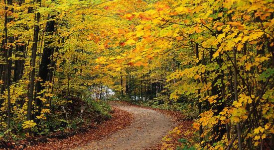 天竺秋色 天竺秋色