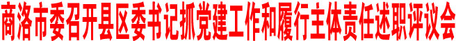 商洛市委召開縣區(qū)委書記抓黨建工作和履行主體責任述職評議會
