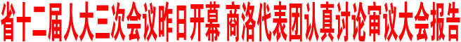 商洛代表團(tuán)認(rèn)真討論審議大會(huì)報(bào)告