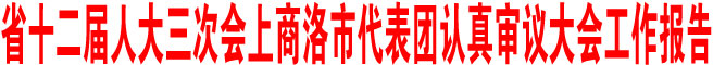 商洛市代表團(tuán)認(rèn)真審議大會(huì)工作報(bào)告