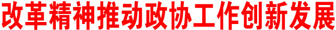 改革精神推動政協工作創新發展