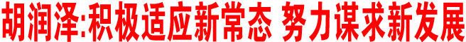積極適應新常態 努力謀求新發展