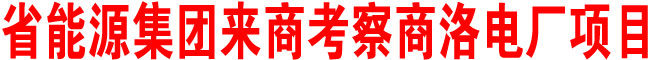 陜西省能源集團來商考察商洛電廠項目