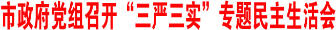 商洛市政府黨組召開“三嚴三實”專題民主生活會