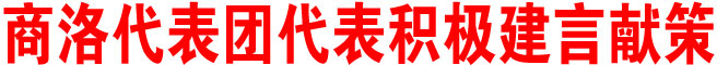 商洛代表團代表積極建言獻策