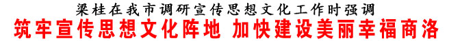 筑牢宣傳思想文化陣地 加快建設美麗幸福商洛