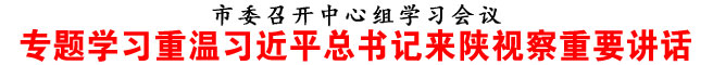 專題學(xué)習(xí)重溫習(xí)近平總書(shū)記來(lái)陜視察重要講話