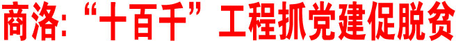 商洛：“十百千”工程抓黨建促脫貧