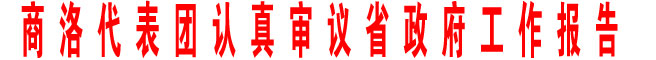 商洛代表團認真審議省政府工作報告