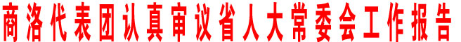 商洛代表團認真審議省人大常委會工作報告