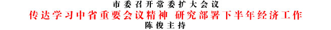 傳達學習中省重要會議精神 研究部署下半年經濟工作