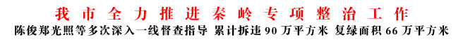商洛市全力推進(jìn)秦嶺專項整治工作