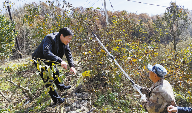 把荒山禿嶺變“綠色銀行”