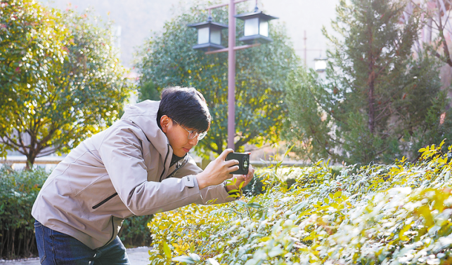 用鏡頭定格故鄉的詩與遠方