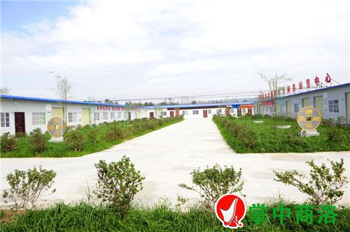 合作社帶動農民增收