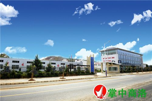 農業龍頭企業——陜西天玉公司