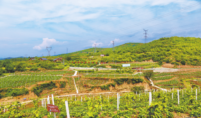 四方雙結對 共建示范村 丹鳳篇