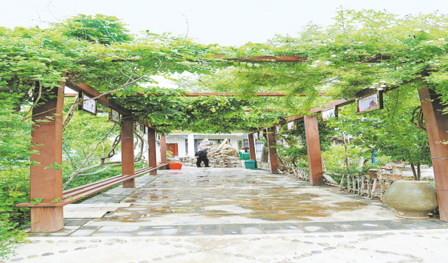 文化鑄魂鄉村美