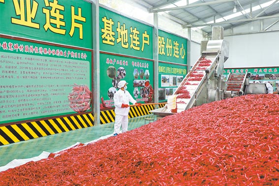 延伸產業鏈條 促進群眾增收