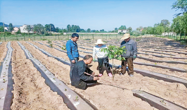 頭雁領飛勇擔當