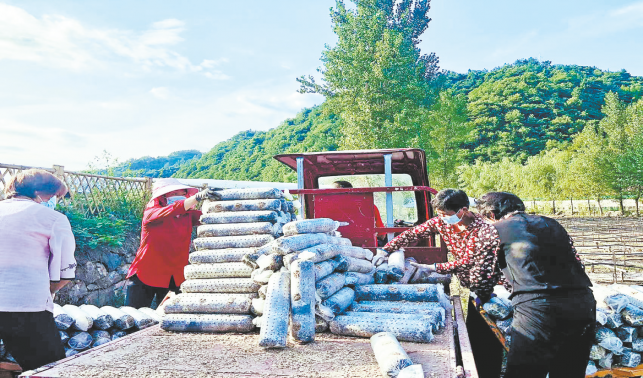 青山鎮 推動重點企業復工復產