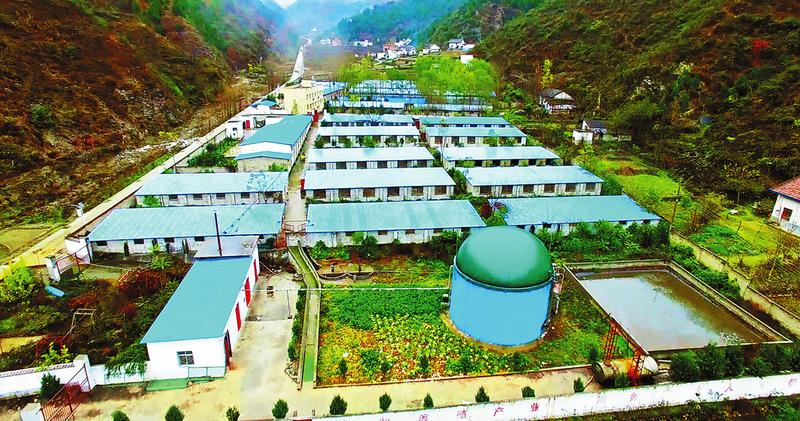 產業開花 扶貧結果