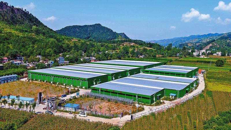 重大項目成為山陽經濟發展的強勁引擎和重要支撐