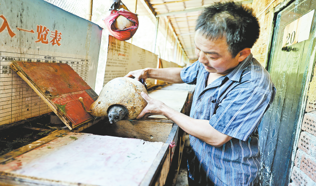 銀花鎮 以產業先行賦能鄉村振興