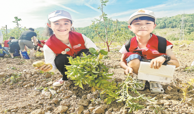 黨報小記者走進“商州核桃第一村”