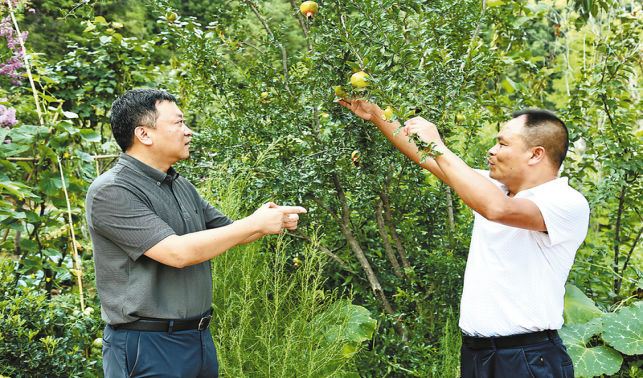 打造秦嶺原鄉世外桃源