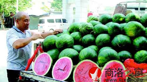 謝小榮把一車的西瓜整理好，準(zhǔn)備開(kāi)業(yè)。