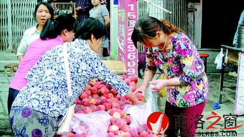 隨處流動(dòng)的小商販也不乏購(gòu)買(mǎi)者。