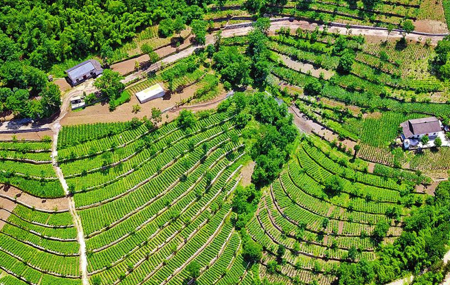 中國康養(yǎng)旅游強(qiáng)縣 中國康養(yǎng)宜居福縣