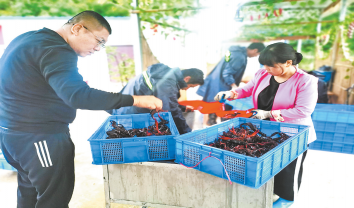 探索混養新模式 鼓起農戶錢袋子